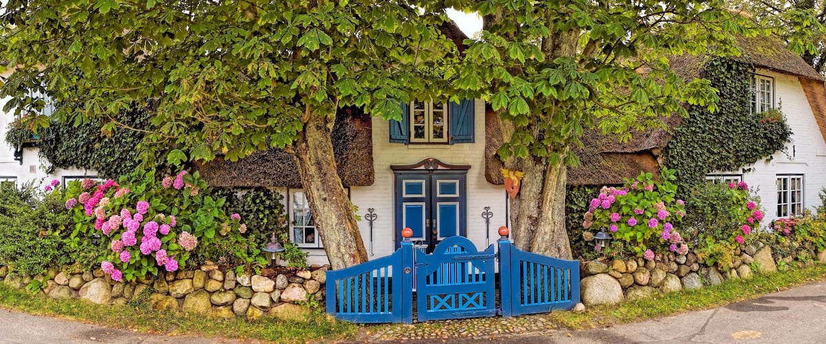 A white house with blue shutters, surrounded by a stone wall and pink hydrangea bushes.