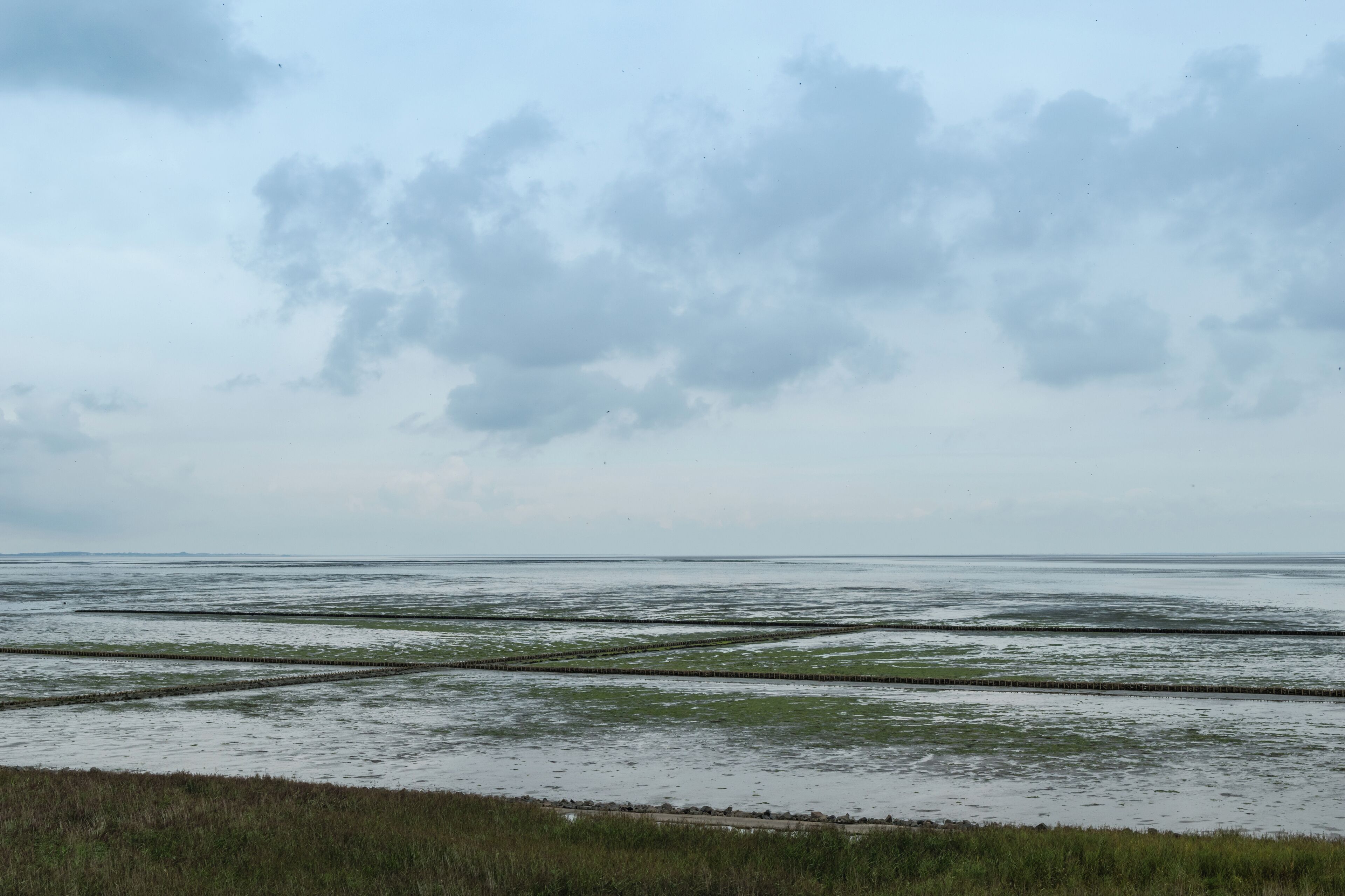 Wattenmeer Sylt Sylt