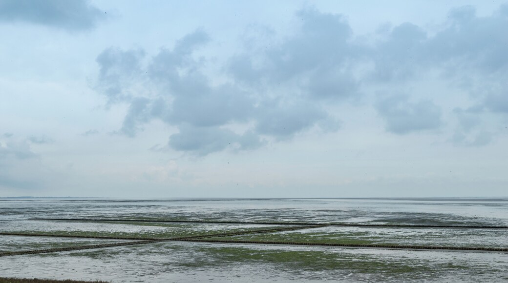 Wattenmeer Sylt Sylt