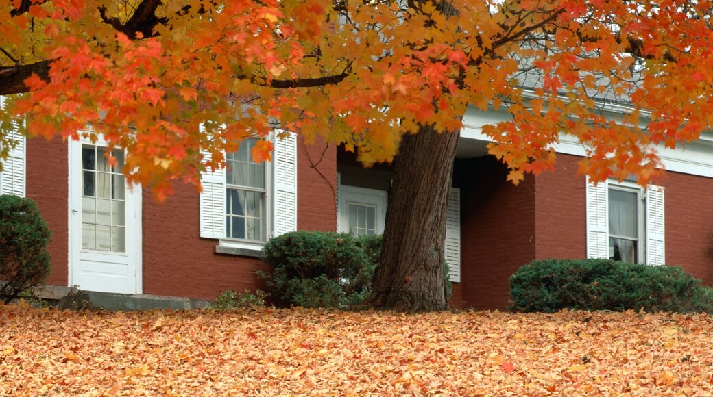 Red house and maple trees along Route 79, Broome County, New York