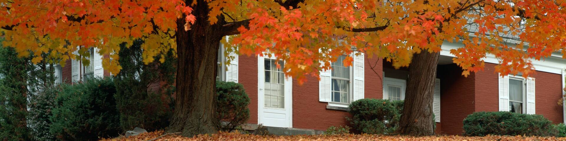 Red house and maple trees along Route 79, Broome County, New York