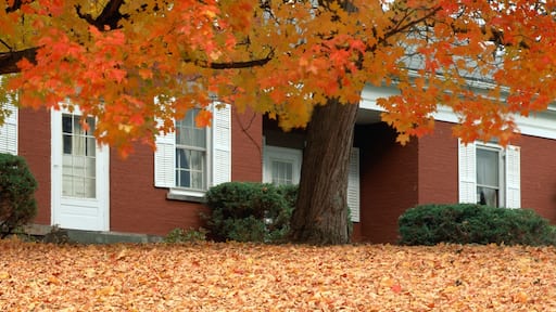 Endicott