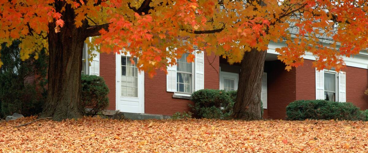 A red brick house with white shutters, surrounded by trees with autumn leaves.