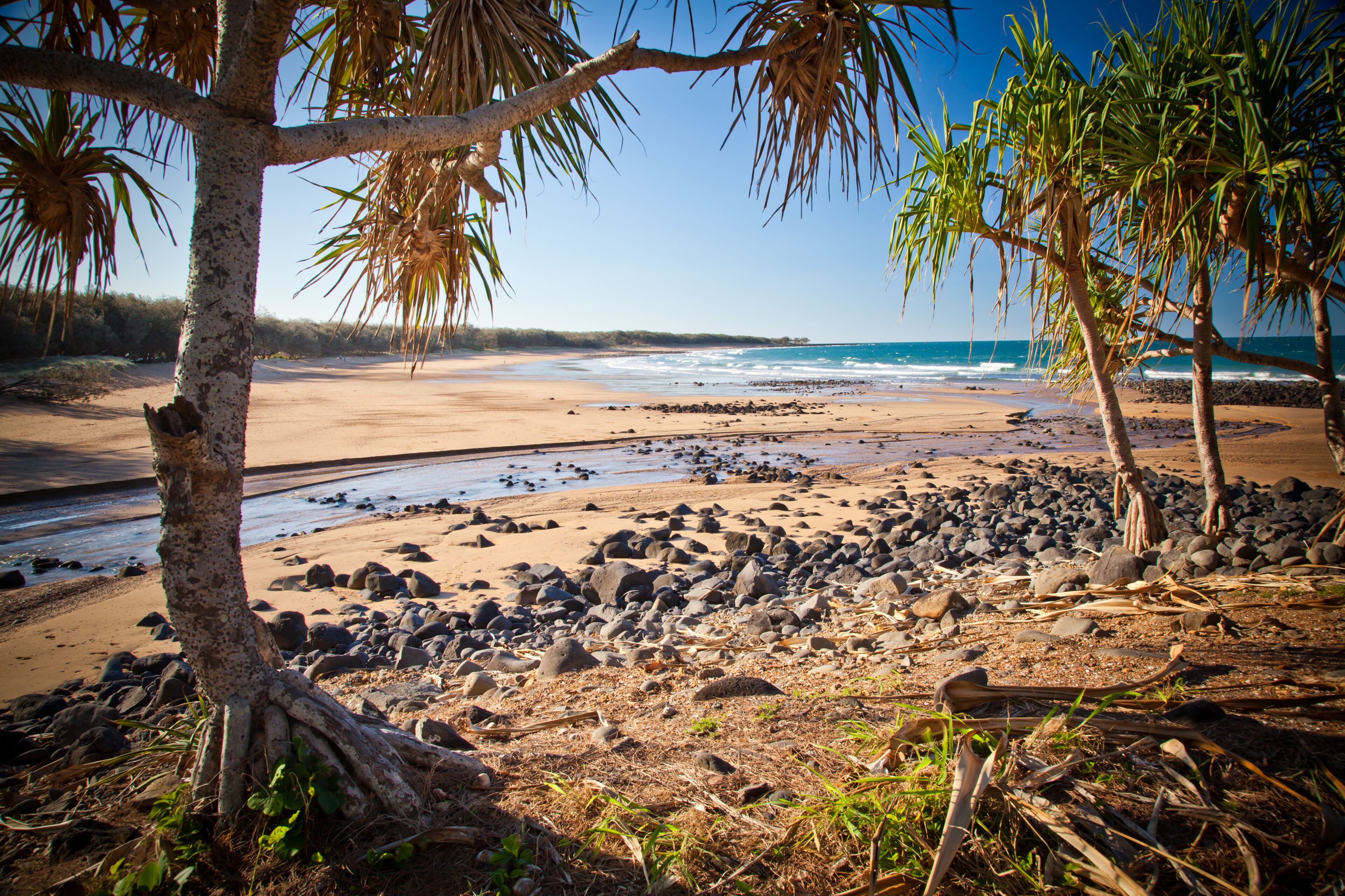 A beach with palm trees, a rocky shoreline, and the ocean.