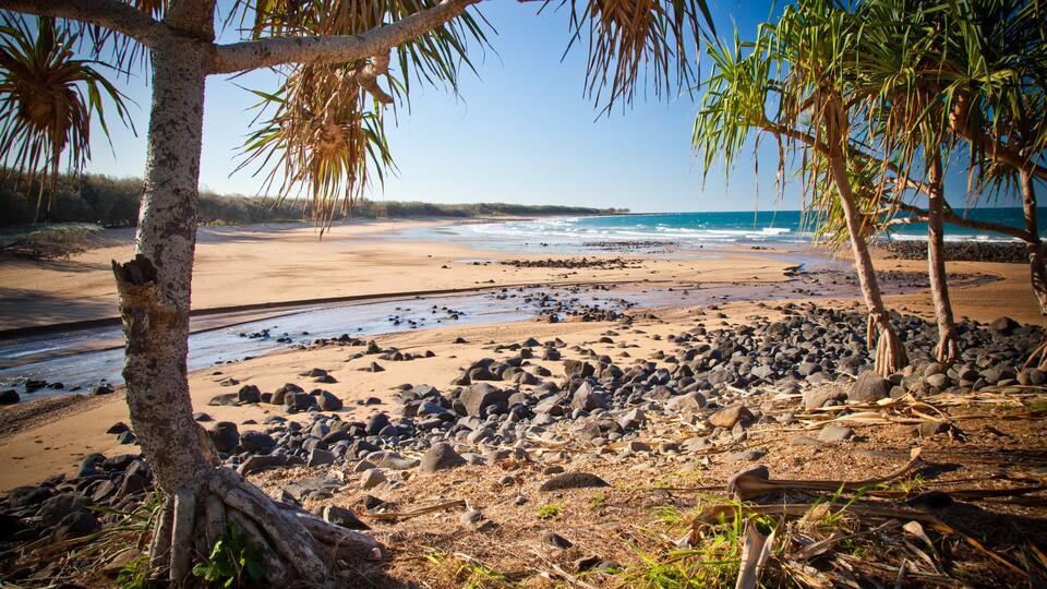 A beach with palm trees, a rocky shoreline, and the ocean.