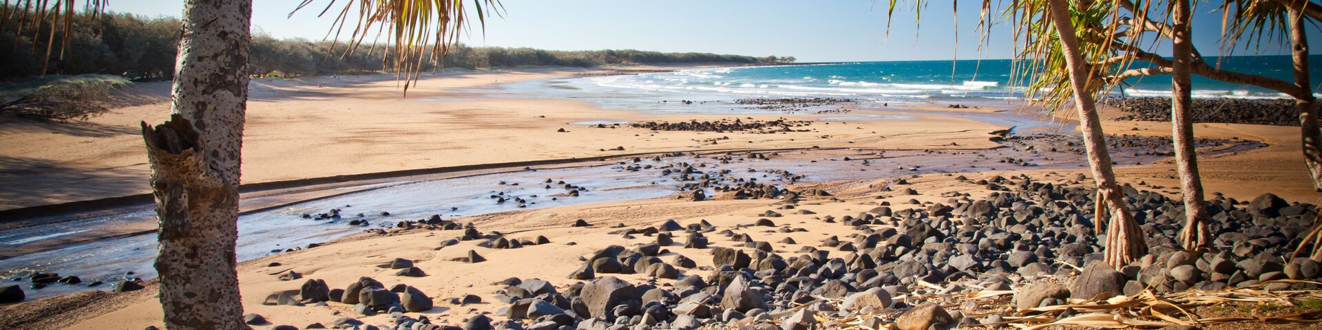 A beach with palm trees, a rocky shoreline, and the ocean.