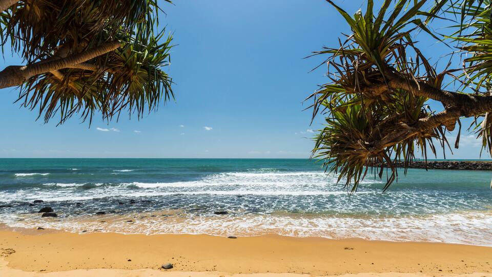 A beach with clear blue water, sandy shore, and palm trees.
