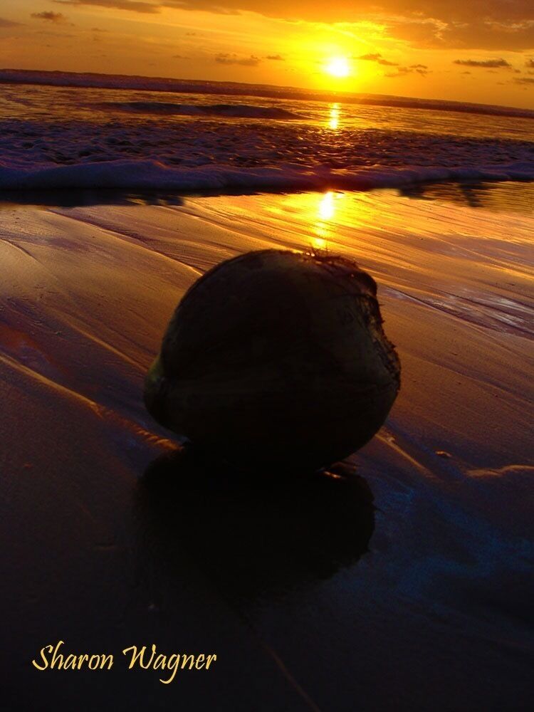 The perfect sunset on a beach made for walking. 