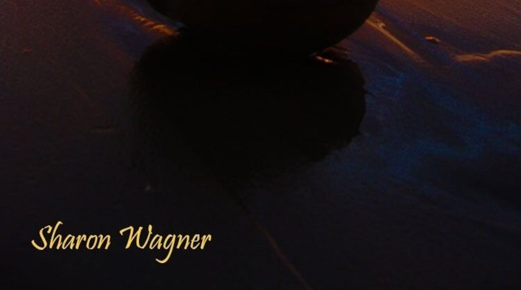 The perfect sunset on a beach made for walking.