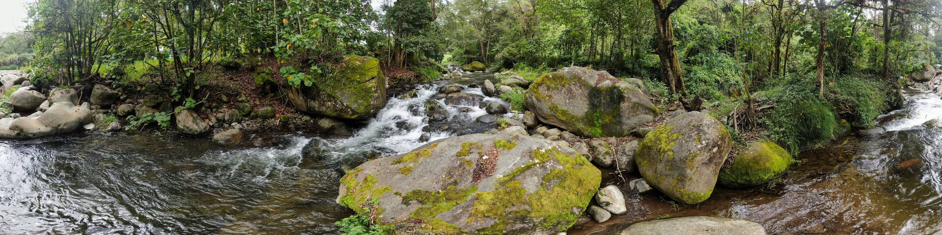 Savegre pristine river with rocks in the forest in Costa Rica