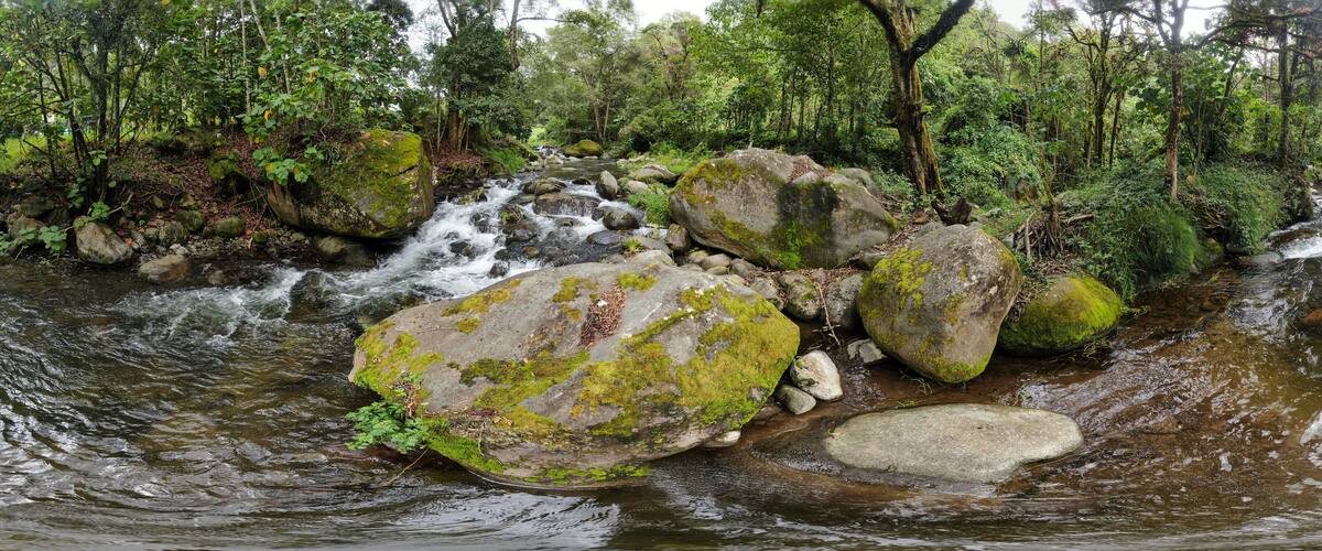 A river flowing through a forest with large moss-covered rocks.