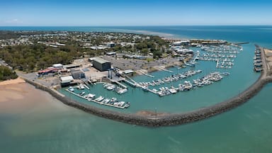 An aerial view of a coastal marina with boats docked, surrounded by a rocky breakwater and a forested area.