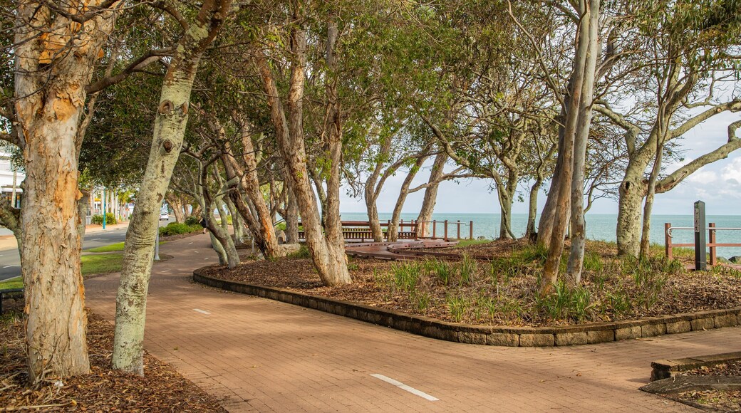 Hervey Bay featuring general coastal views and a park