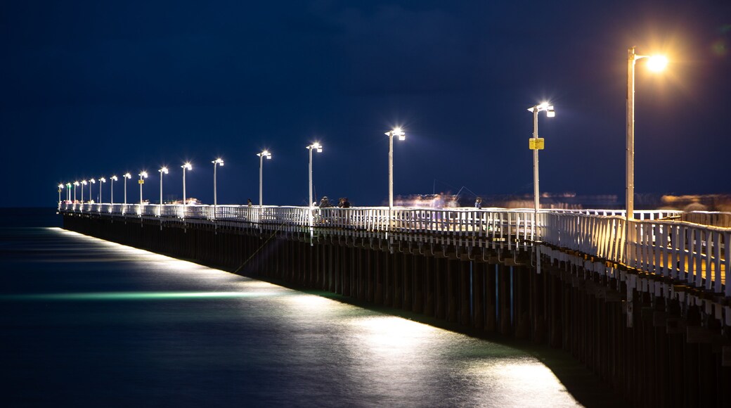 Hervey Bay featuring night scenes and a bridge