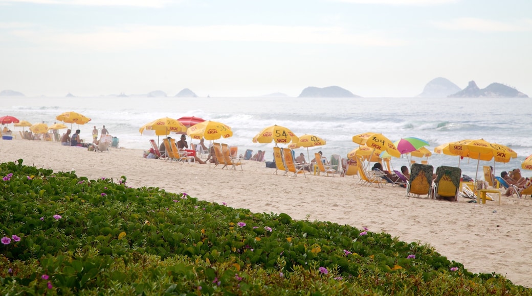 Barra da Tijuca mostrando un parque y una playa de arena