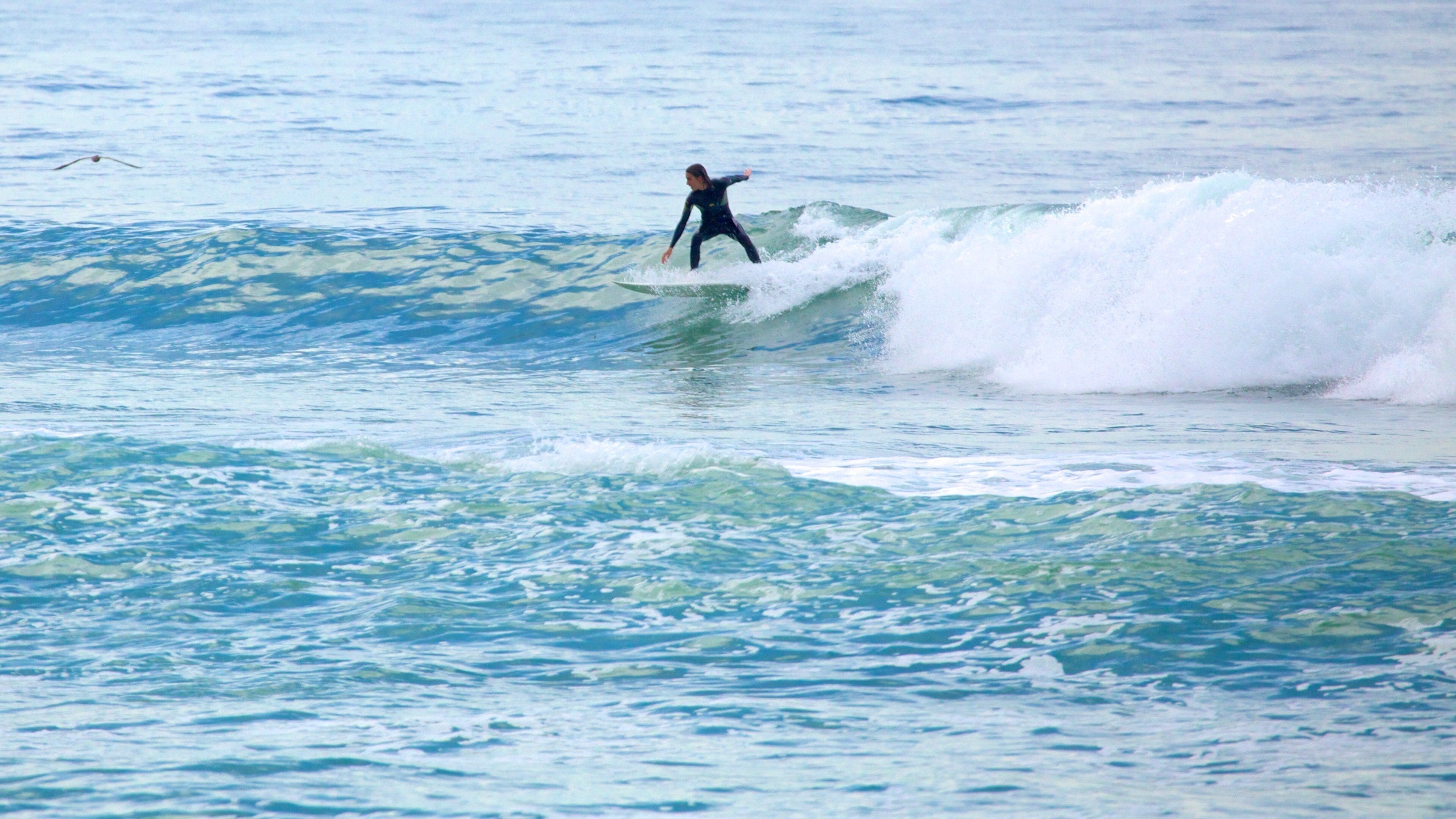 Barra da Tijuca แสดง คลื่น และ โต้คลื่น