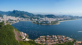 Flamengo