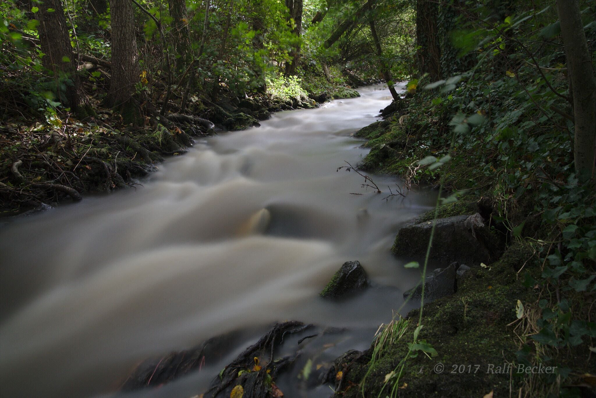 500px provided description: Langzeitbelichtung mit ND3 Filter [#B?ume ,#Natur ,#Wasser ,#Bach ,#Langzeitbelichtung ,#Weich ,#Wasserlauf]