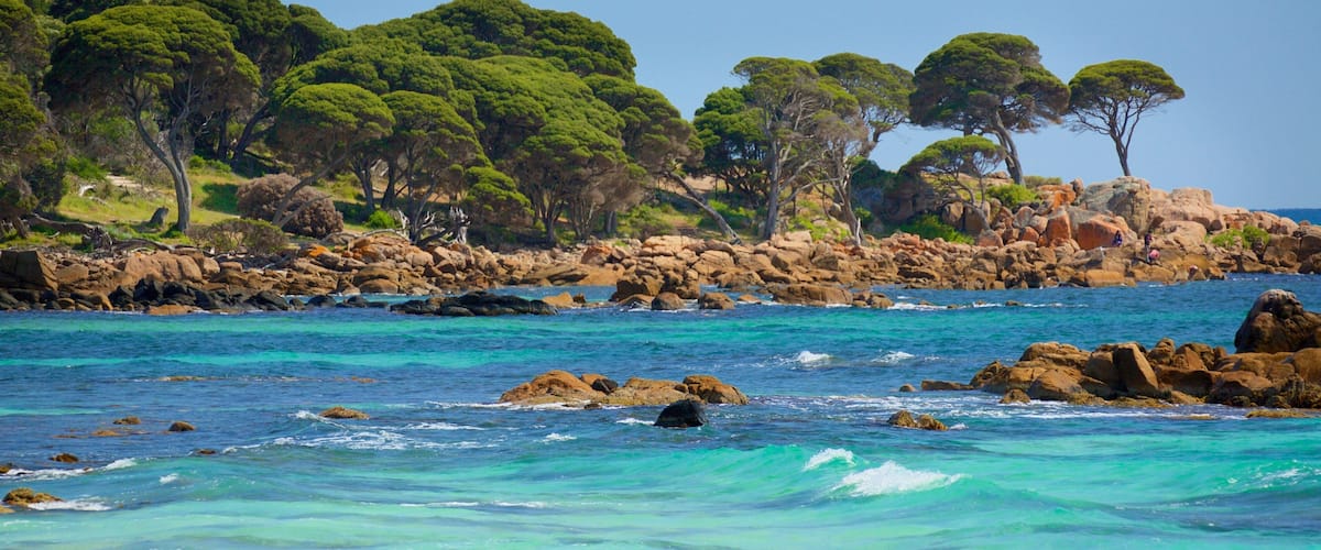 Bunker Bay showing rugged coastline, a bay or harbor and surf