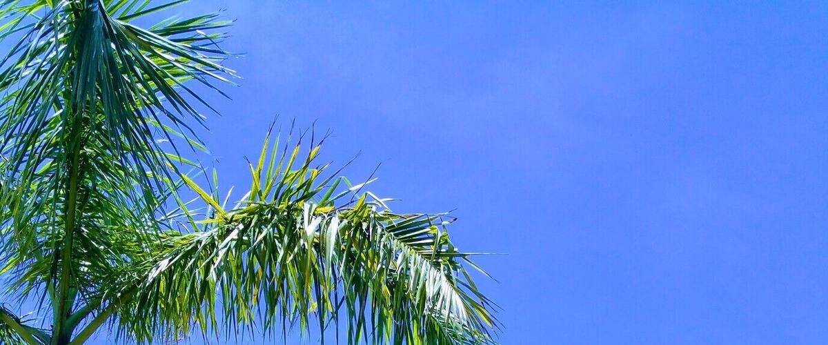 War Evidence of Tam Toa Church Steeple, Dong Hoi, Vietnam
Tam Toa Church was built in 1886, and mostly destroyed by bombing on February 11th 1965. #InStone #packsandaplan
Check out our adventures and useful information http://packsandaplan.com/