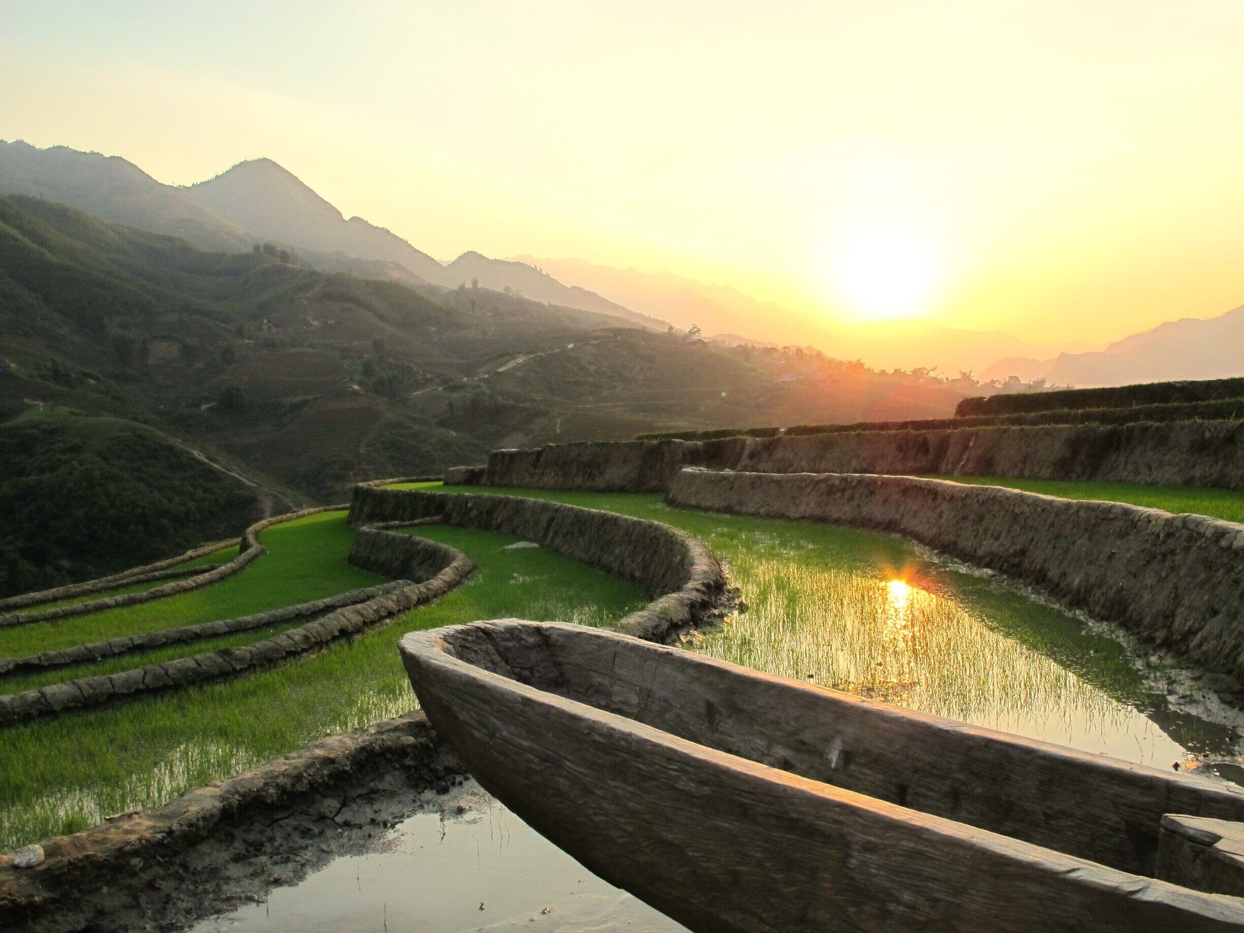 Rice Fields #lifeatexpedia 