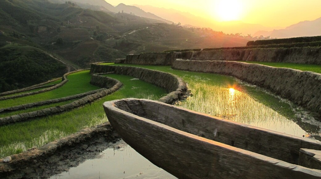 Rice Fields #lifeatexpedia