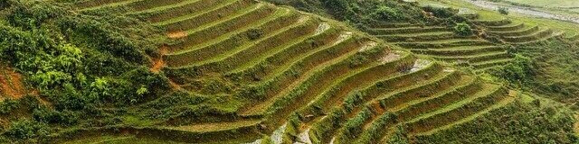 Trekking around beautiful rice terraces in Vietnams Sapa region was a blast! #travel #sapa #vietnam #wanderlust #worldtravel #twohobos #natgeo #trekking #TroveOn #traveltheworld #asia #sea #seasia #igtravel #ourdoors #explore #adventure #nature #TroveOn