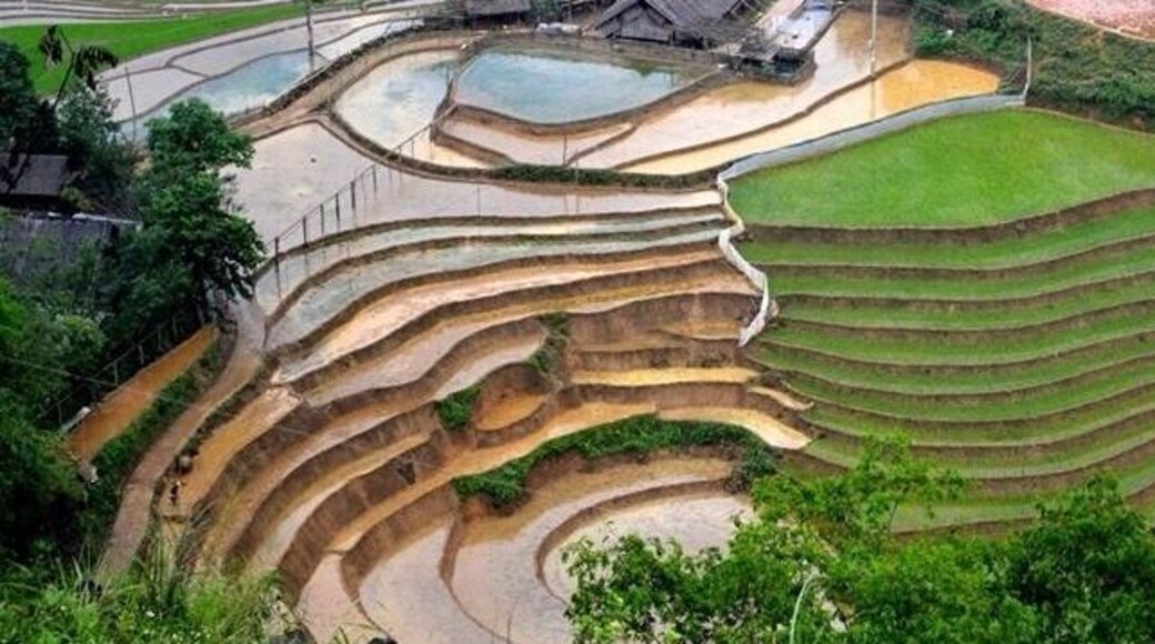 Living on the rice terraces.