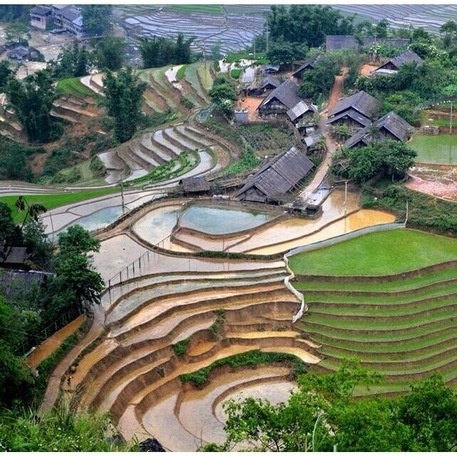Living on the rice terraces.