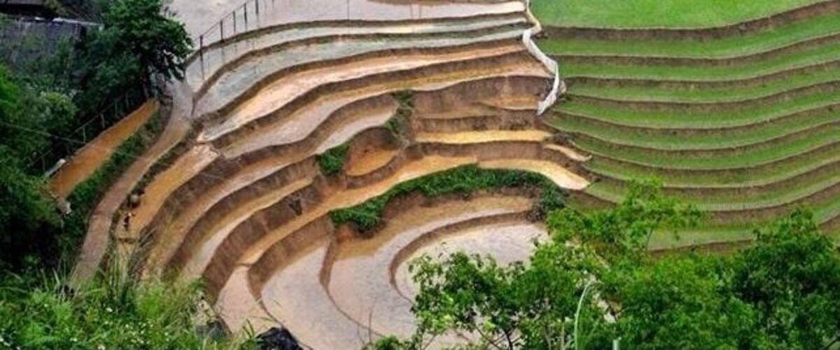 Terraced rice fields, traditional houses, and a small pond.
