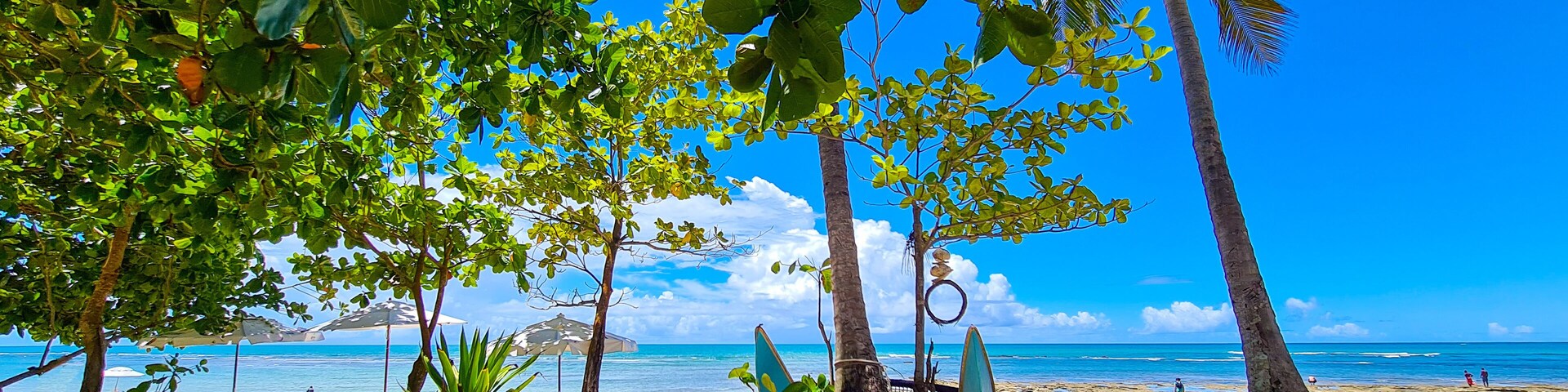 A beach with palm trees, beach chairs, and surfboards.