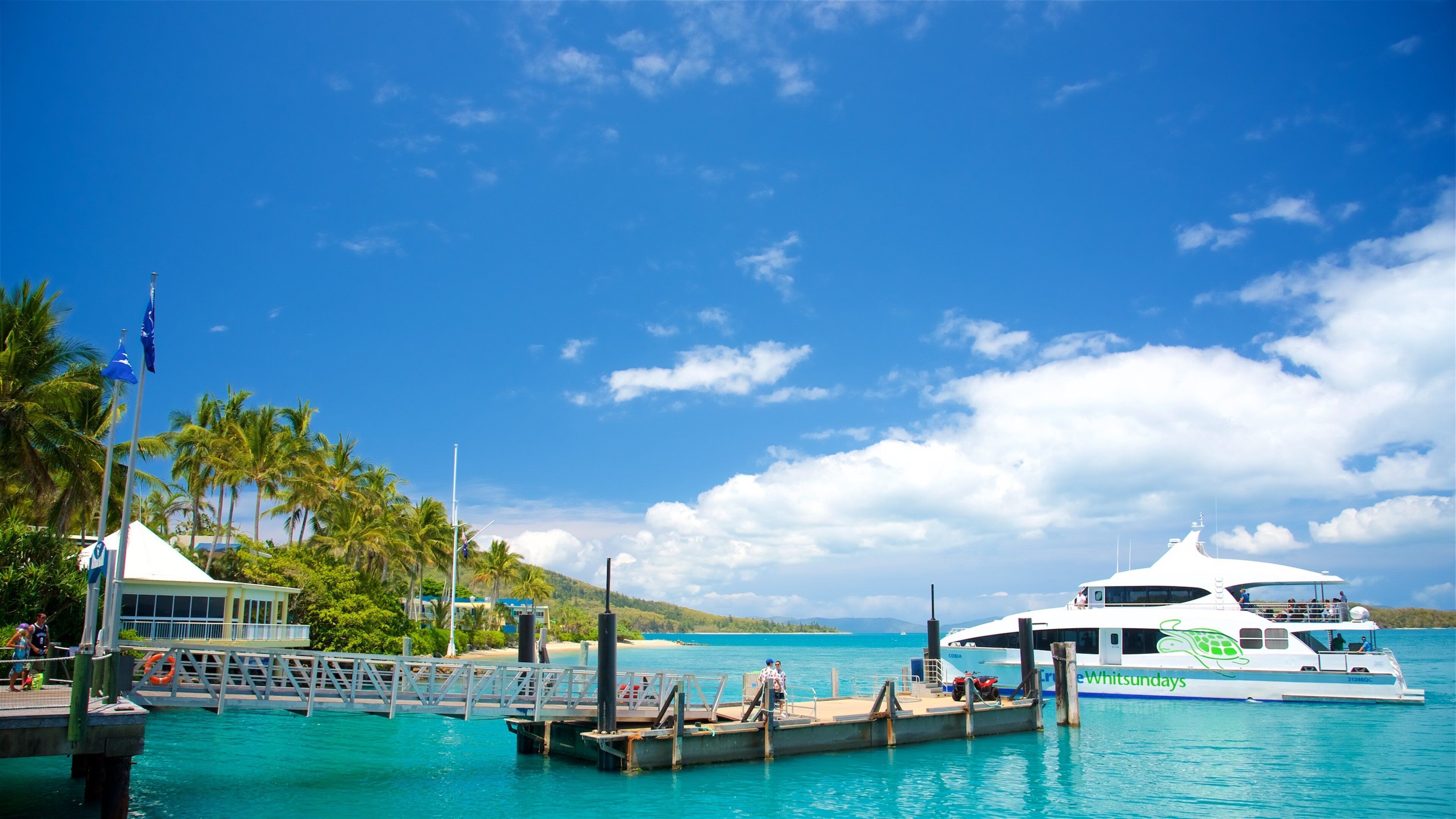 A white yacht docked at a pier with palm trees and a clear blue sky in the background.
