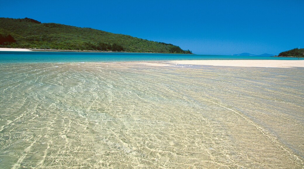 Mackay