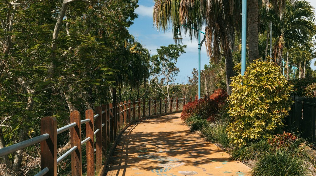 Mackay