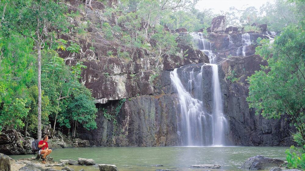 Ein Wasserfall stürzt über eine felsige Klippe, umgeben von üppiger Vegetation.