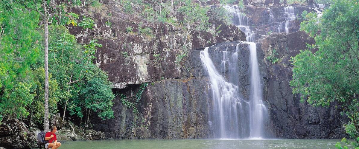 A waterfall cascading down a rocky cliff surrounded by lush greenery.