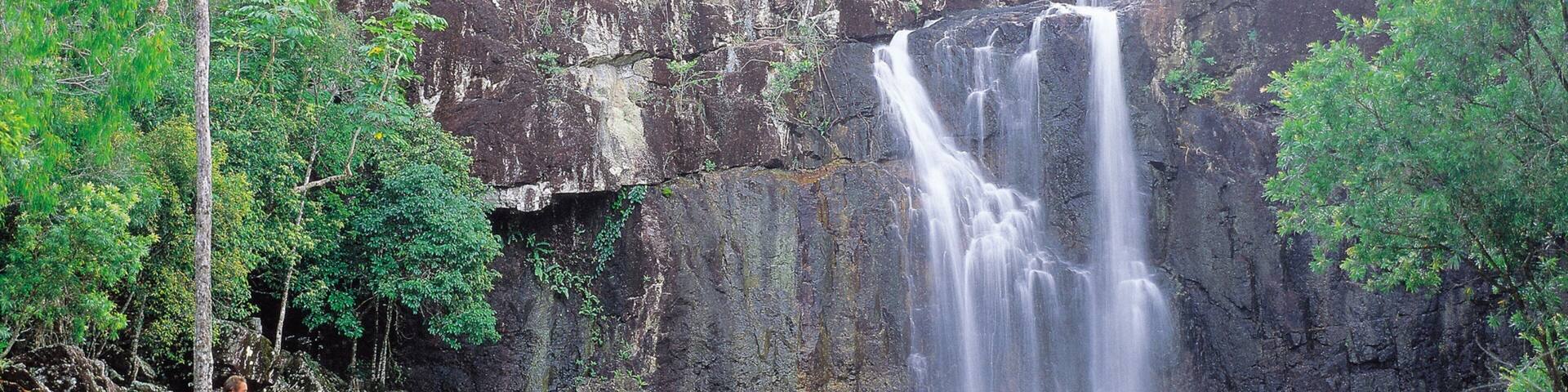 A waterfall cascading down a rocky cliff surrounded by lush greenery.