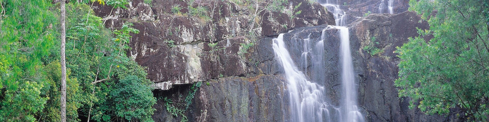 Una cascada se precipita por un risco rocoso rodeado de exuberante vegetación.