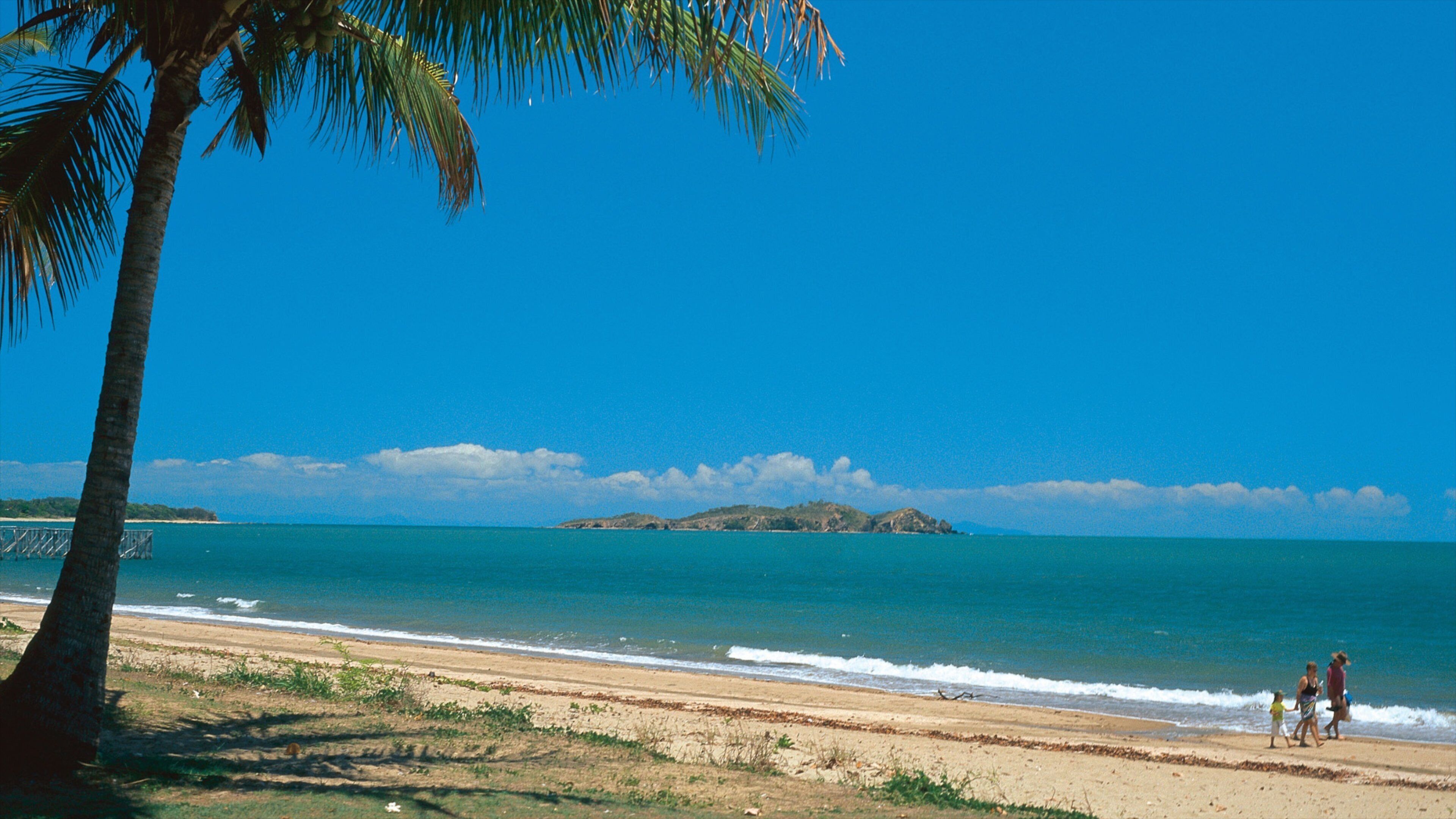 A beach with clear blue water, a palm tree, and a distant island.