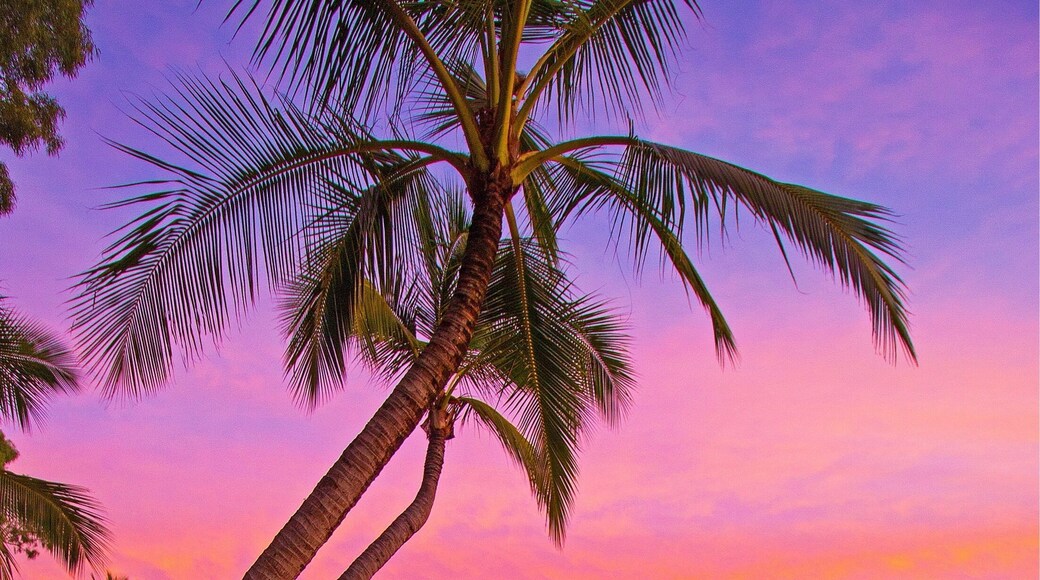 Weekend Vibes 🌅✌️🍻🌴😀
#meetmackayregion #thisisqueensland #seeaustralia #sunset