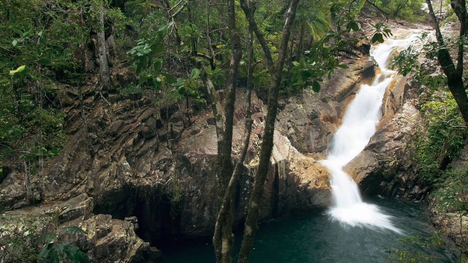A waterfall cascading down a rocky cliff surrounded by dense forest.