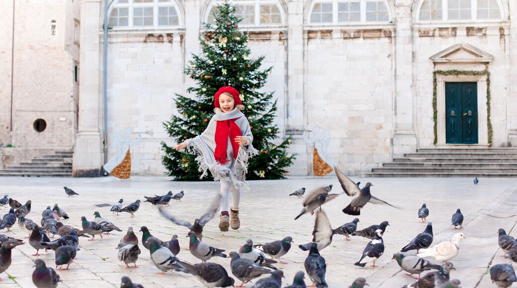 Happy kid girl is running with flying doves on square and Christmas tree in Europe. Cute child chases pigeons. Romantic vintage atmosphere in ancient town. Authentic architecture in Dubrovnik, Croatia