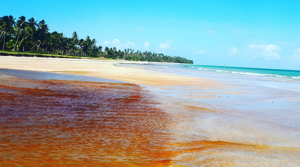 The river meets the sea. One of the most gougeous and peaceful places in Brazilian Northeast