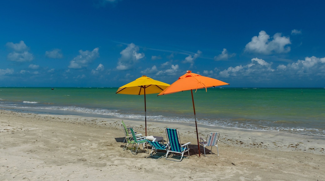 ซาว มีเกล ดอส มิลาฆร์ส