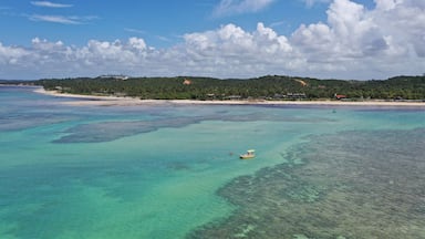 Panoramic view of turquoise waters of Sao Miguel dos Milagres in Alagoas State, Brazil
