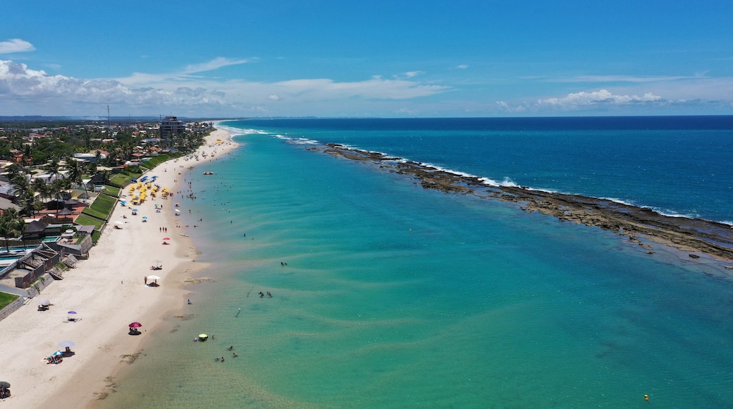 Fantastic aerial view of Barra de Sao Miguel beach on a sunny summer day in February 2026 near Maceio City. Alagoas State, Brazil