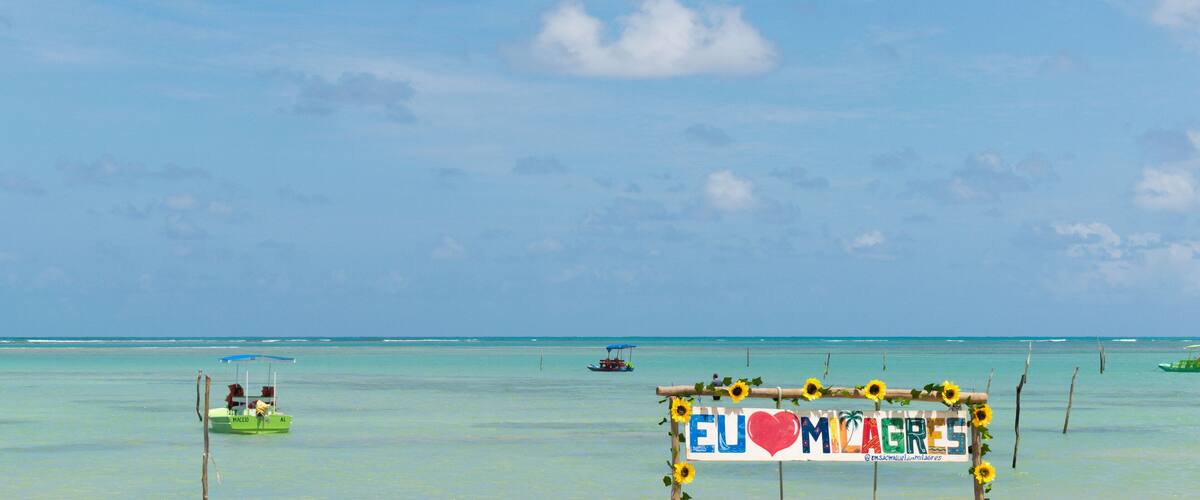 A beach with a sign reading "EU ♥ MIAGRES" surrounded by sunflowers and palm trees.