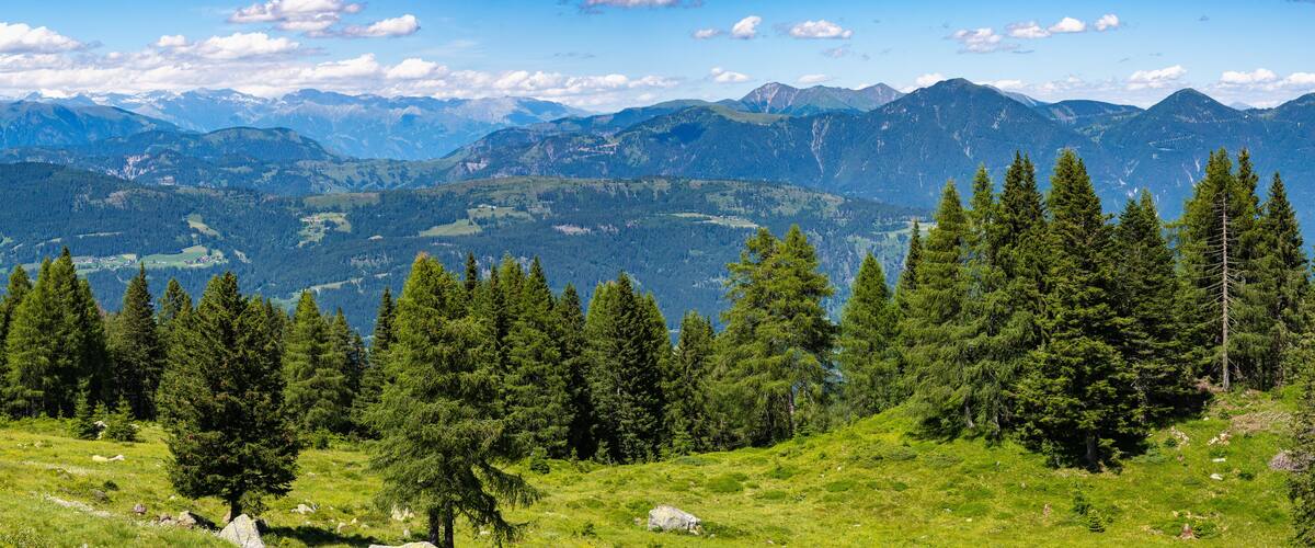 A mountainous landscape with dense forests and a village in the valley.