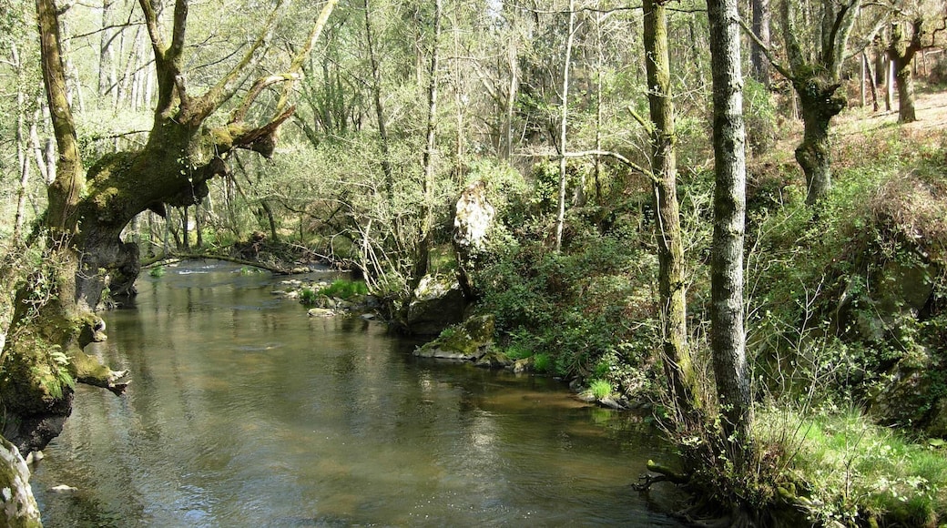 Poco antes de llegar Pazos atravesamos el río Toxa, que pronto volveremos a encontrarnos con el en la cascada. Vuela hasta esta localización. Necesitas el programa Google Earth.