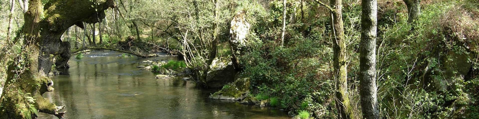 Poco antes de llegar Pazos atravesamos el río Toxa, que pronto volveremos a encontrarnos con el en la cascada. Vuela hasta esta localización. Necesitas el programa Google Earth.